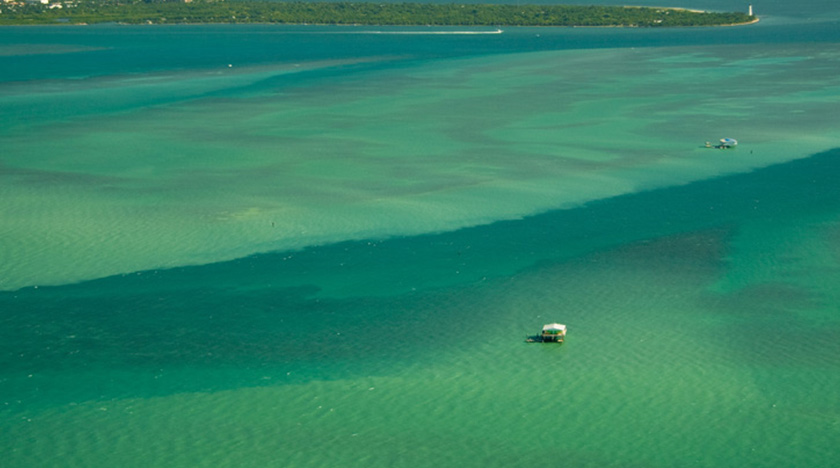 wsqf-radio-Key-Biscayne-20
