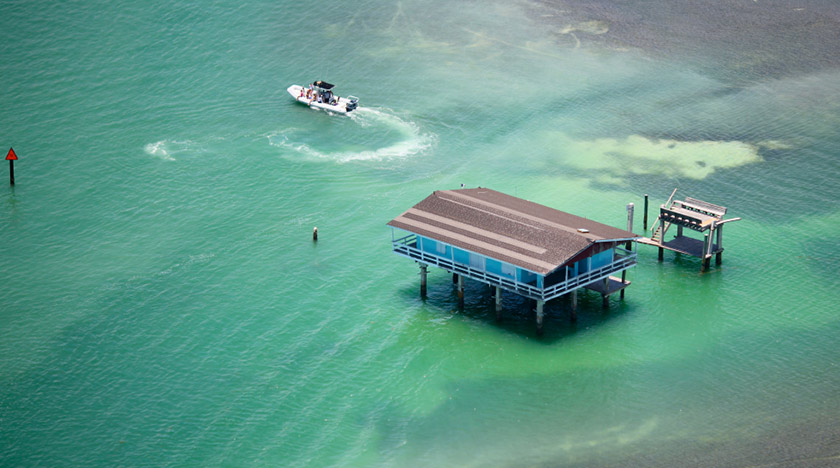 wsqf-radio-Key-Biscayne-26
